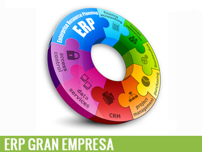 ERP Gran empresa