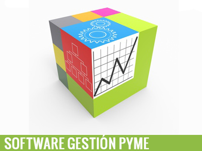 Gestión Pyme