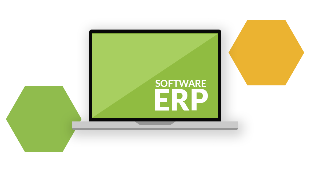 Software ERP