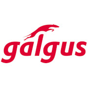 Galgus